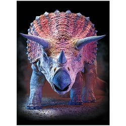 LivLife 3D Triceratops
