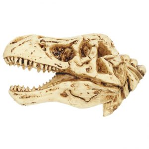 magneet T-Rex Skeleton