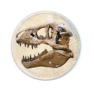 Magnidome T-Rex Skull