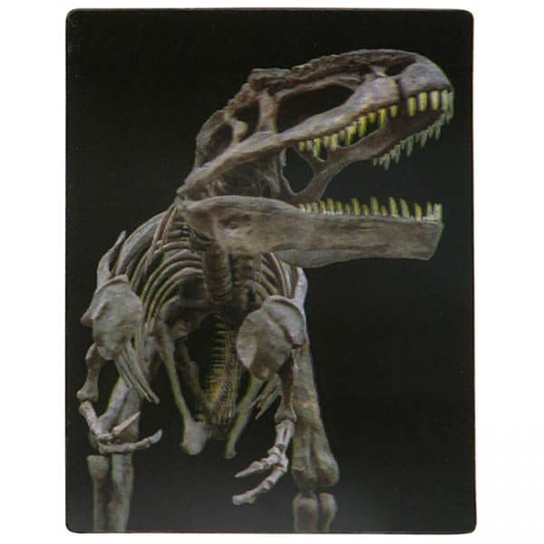3D T-Rex Skeleton