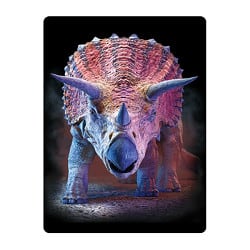 LiveLife 3D - Triceratops