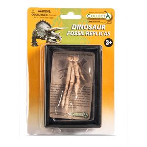 Velociraptor voet